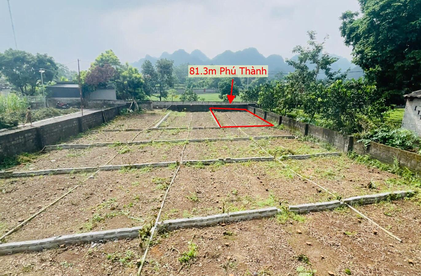 Hình ảnh Bán Lô Đất 81.3m Tại Phú Thành Lạc Thủy Bám Đường Bê Tông Ô Tô Vào Tận Đất Dân Cư Đông Đúc Thân Thiện Cách QL21a 100m Giá Đầu Tư