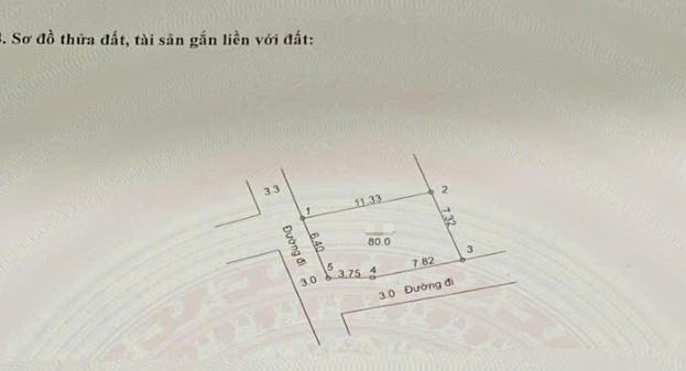 Hình ảnh Đất Phân Lô Hoàng Diệu 80m Ngay Sát Trục Chính Kinh Doanh Liên Xã Giá Chỉ Hơn Tỷ