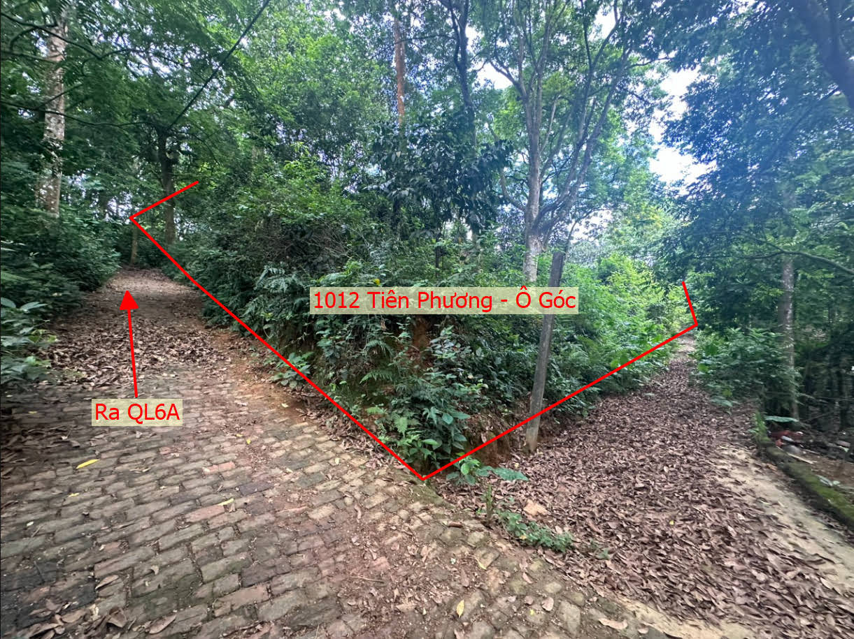 Hình ảnh Bán Đất Lô Góc 2 Mặt Tiền Gần QL6A Đang Triển Khai Mở Rộng Tại Tiên Phương