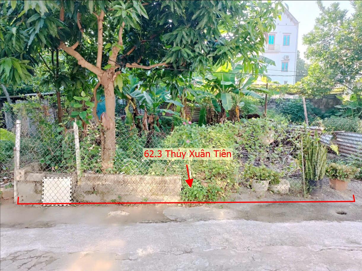 Hình ảnh Bán Thửa Đất Full Thổ Cư 62.3m Tại Thủy Xuân Tiên Ô Tô Đỗ Tận Đất Sát Trục Chính Liên Xã