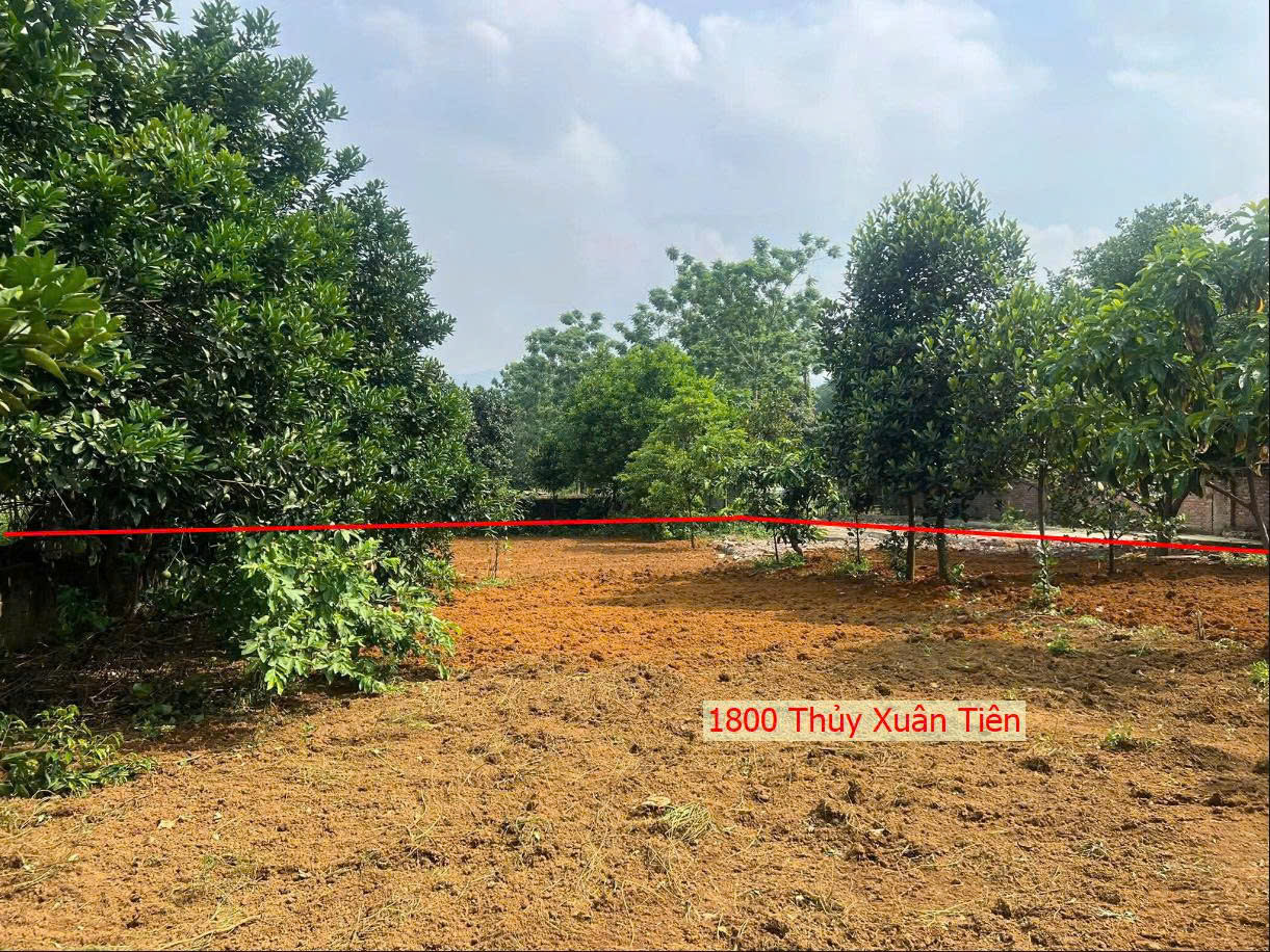 Hình ảnh Bán Thửa Đất 1800m Tại Thủy Xuân Tiên Ô Tô Vào Tận Đất Gần Mặt Đường Hồ Chí Minh(QL21A)