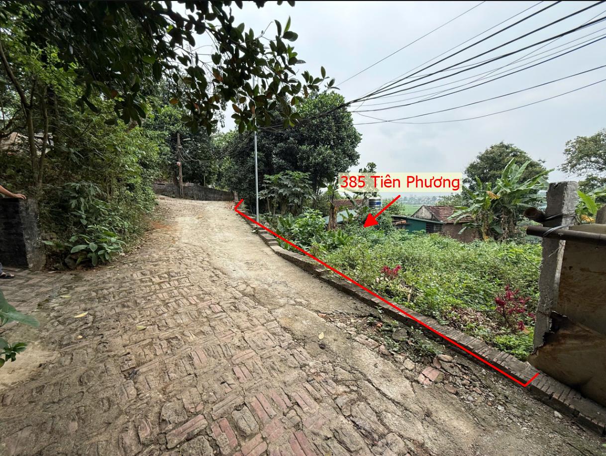 Hình ảnh Bát Động Sản Chương Mỹ Bán Đất Khu Vực Tiên Phương 2 Mặt Thoáng Full Thổ Cư Gần KCN Phú Nghĩa, QL6A Đang Mở Rộng