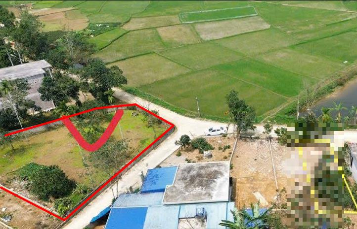 Hình ảnh Bán Thửa Đất 100M Tại Lương Sơn Hòa Bình Ô Tô Vào Tận Đất Cách QL21A Chỉ 100M