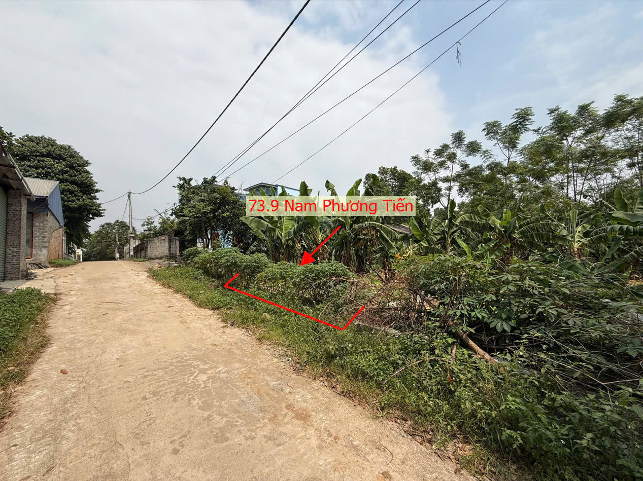 Hình ảnh Bán Đất Phân Lô 73.9M2 Tại Nam Phương Tiến Đường Ô Tô Tránh Ngay Sát Hồ Miễu Giá Chỉ Hơn Tỷ 