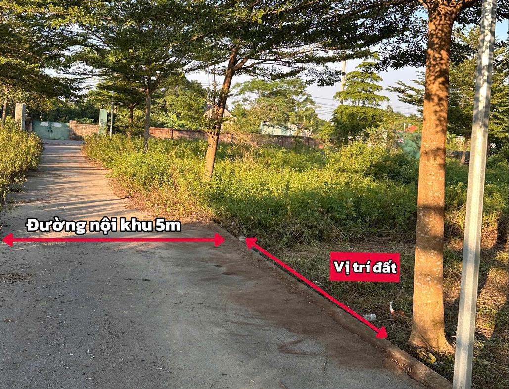 Hình ảnh Bán Lô Đất 60.5m Tại Cổ Đông Sơn Tây Bám Đường Bê Tông Ô Tô Vào Tận Đất Dân Cư Đông Đúc Thân Thiện Giá Đầu Tư