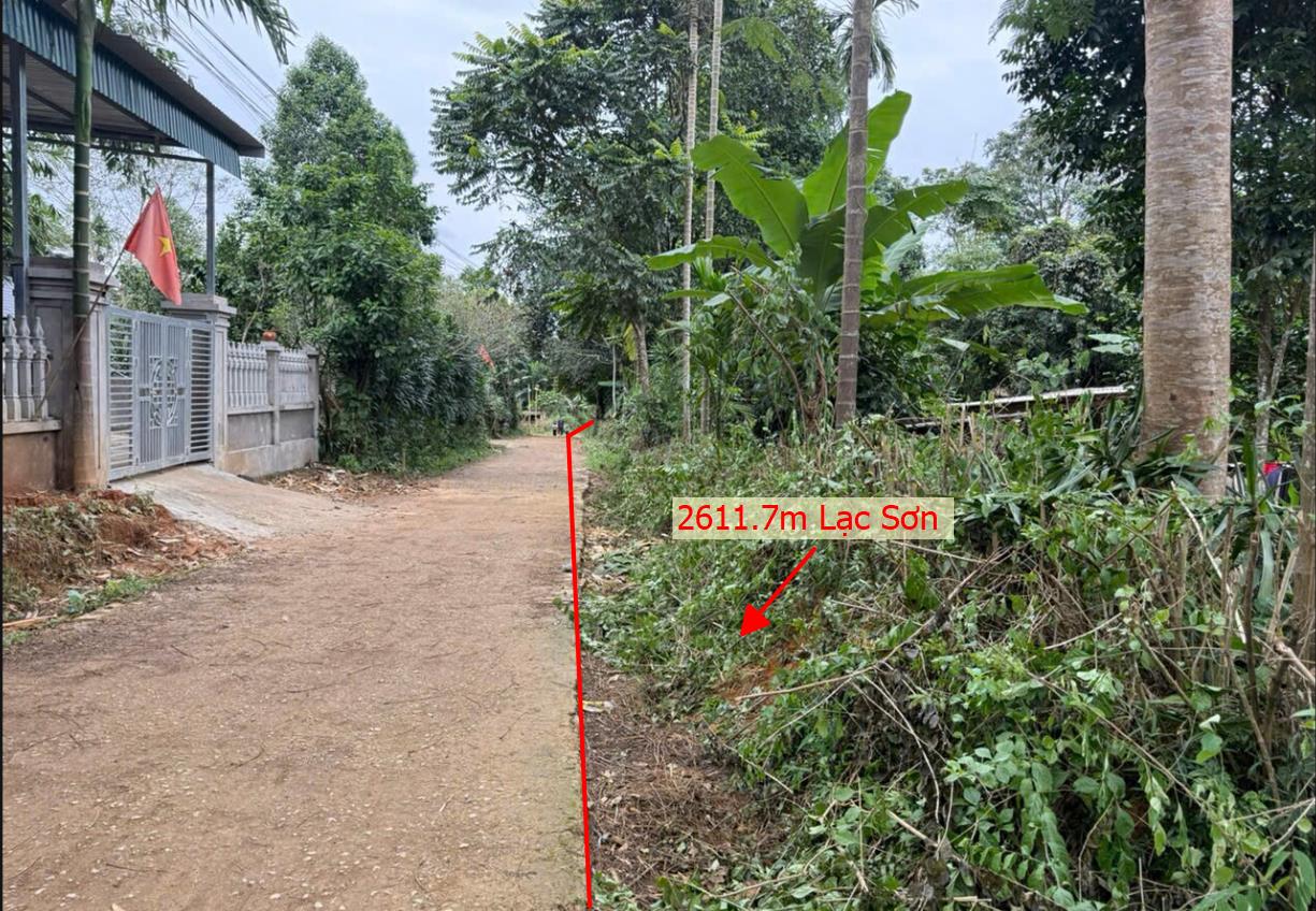 Hình ảnh Bán Lô Đất 2611.7m Tại Chí Đạo Lạc Sơn Bám Đường Bê Tông Ô Tô Vào Tận Đất Dân Cư Đông Đúc Thân Thiện Gần Chợ Trường Học Ủy Ban Giá Đầu Tu