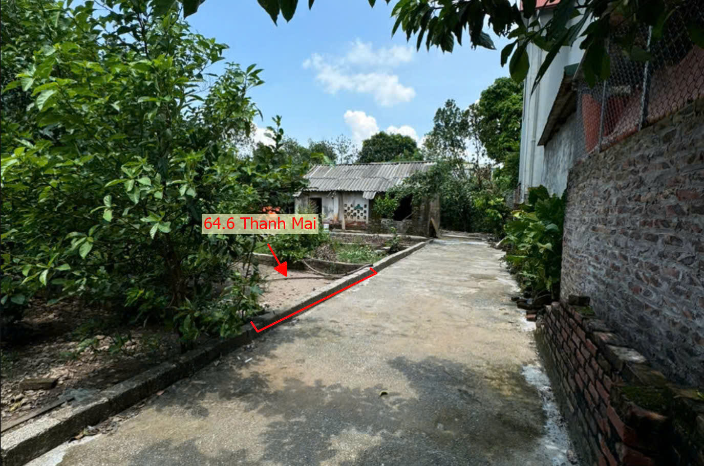 Hình ảnh Bán Đất Phân Lô 64.6M2 Tại Thanh Mai Thanh Oai Ngay Gần Trục Kinh Doanh - Đất Phân Lô Thanh Mai Giá Rẻ