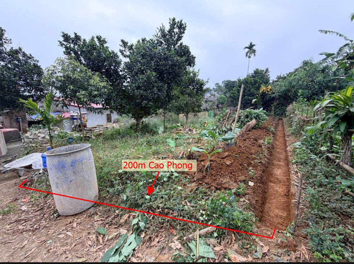 Hình ảnh Bán Lô Đất 200m Tại Cao Phong Bám Đường Bê Tông Ô Tô Vào Tận Đất Dân Cư Đông Đúc Thân Thiện Gần CHợ Trường Học Giá Đầu Tư