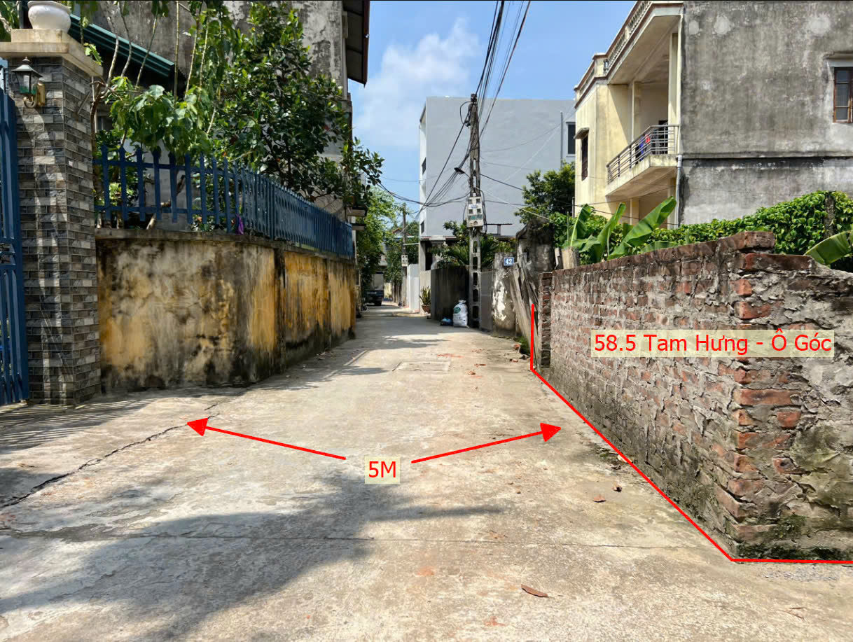 Hình ảnh Bán Lô Góc 2 Mặt Tiền Ô Tô Vào Tận Đất Sát Trục Chính Kinh Doanh Liên Xã Ngay Trung Tâm Xã Tam Hưng