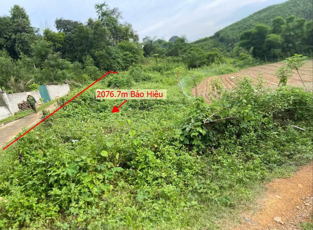 Hình ảnh Bán Lô Đất 2076.7m Tại Bảo Hiệu Yên Thủy Bám Đường Bê Tông Ô Tô Vào Tận Đất Dân Cư Đông  Khí Hậu Mát Mẻ Trong Lành Phù Hợp Nghỉ Dưỡng Giá Đầu Tư