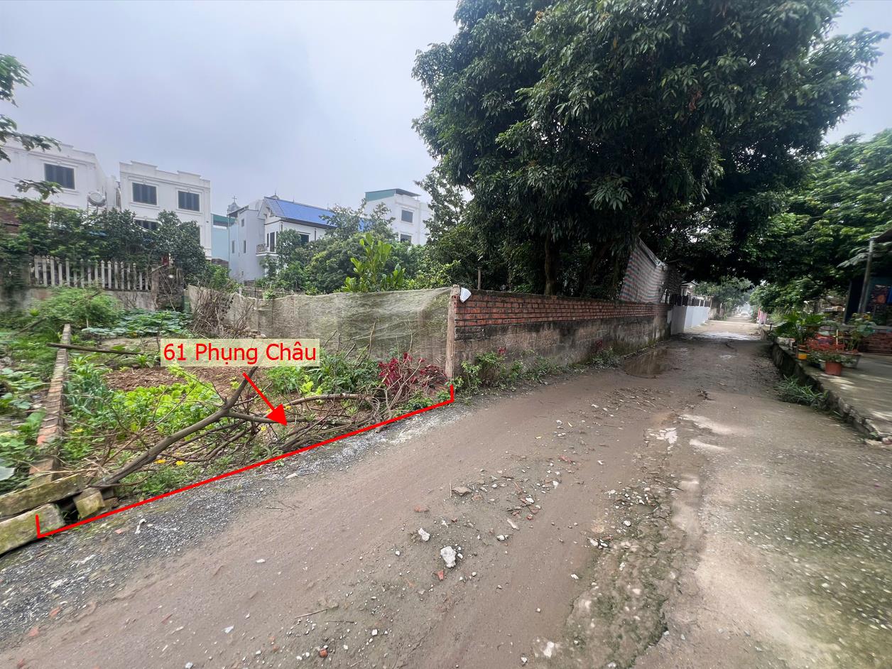 Hình ảnh Bất Động Sản Chương Mỹ Bán Đất Khu Vực Phụng Châu Đường Thông Ô Tô Sát Trục Chính Kinh Doanh Liên Xã 