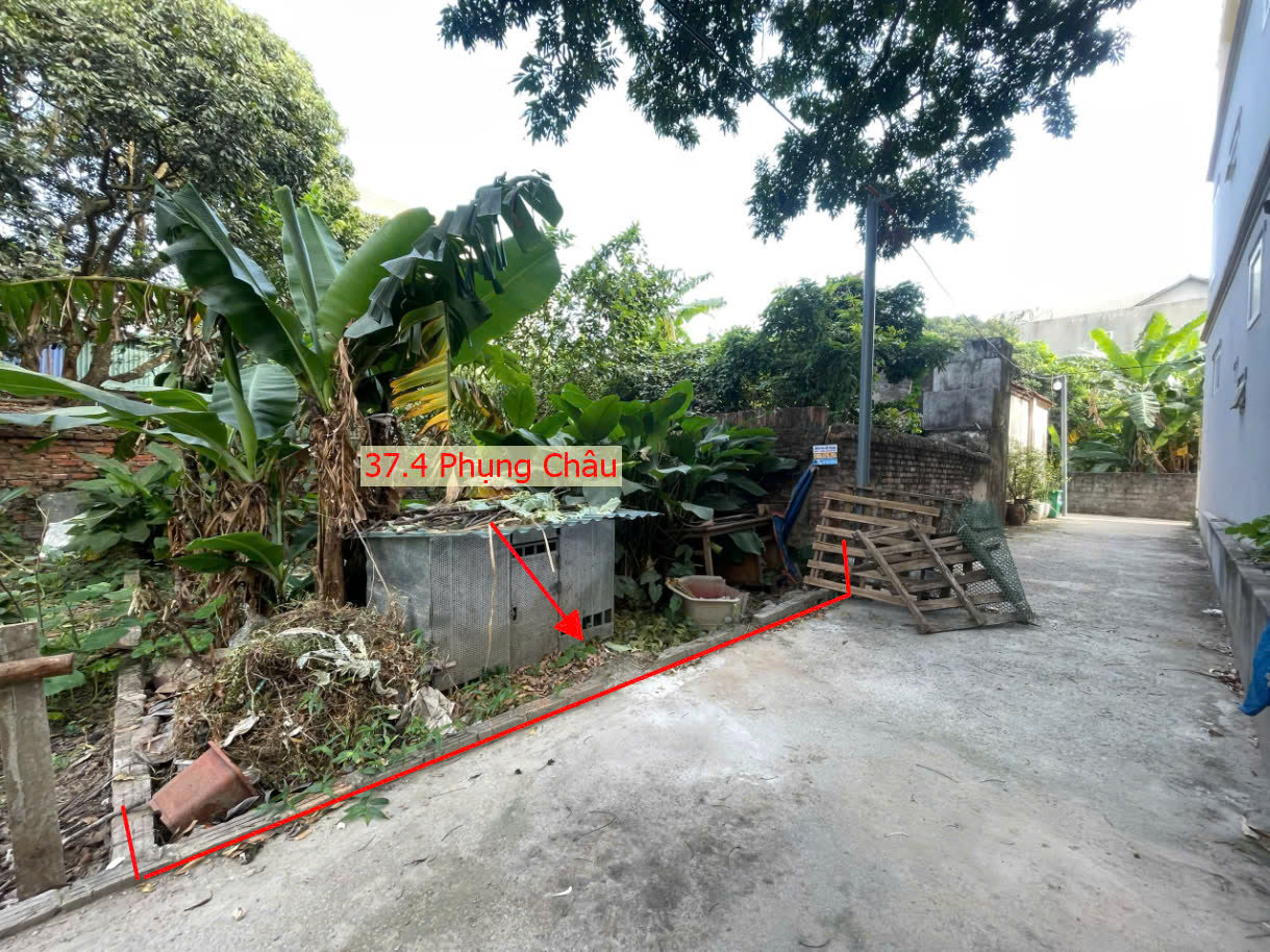 Hình ảnh Bán Đất Phụng Châu Sát Trục Kinh Doanh Liên Huyện Ngay Trung Tâm Xã Phụng Châu