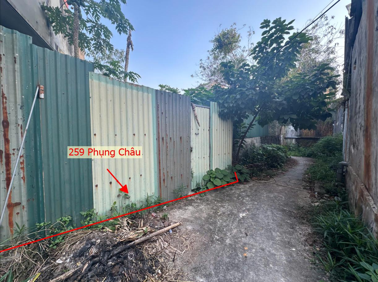 Hình ảnh Bán Thửa Đất Full Thổ Cư 259m Tại Phụng Châu Sát Trục Kinh Doanh Liên Xã Gần Chợ, Trường Học Các Cấp