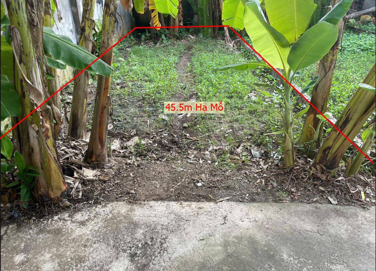 Hình ảnh Bán Lô Đất 45.5m Tại Hạ Mỗ Đan Phượng Bám Đường Bê Tông Ô Tô Vào Tận Đất Dân Cư Đông Đúc Thân Thiện Giá Đầu Tư