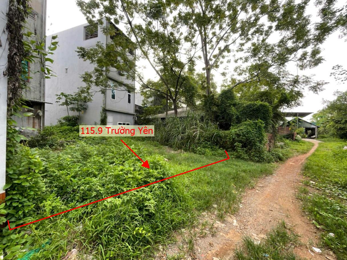 Hình ảnh Bất Động Sản Phú Nghĩa Bán Đất Khu Vực Trường Yên Ô Tô Đỗ Tận Đất Ngay Sát Trục Kinh Doanh Liên Xã 