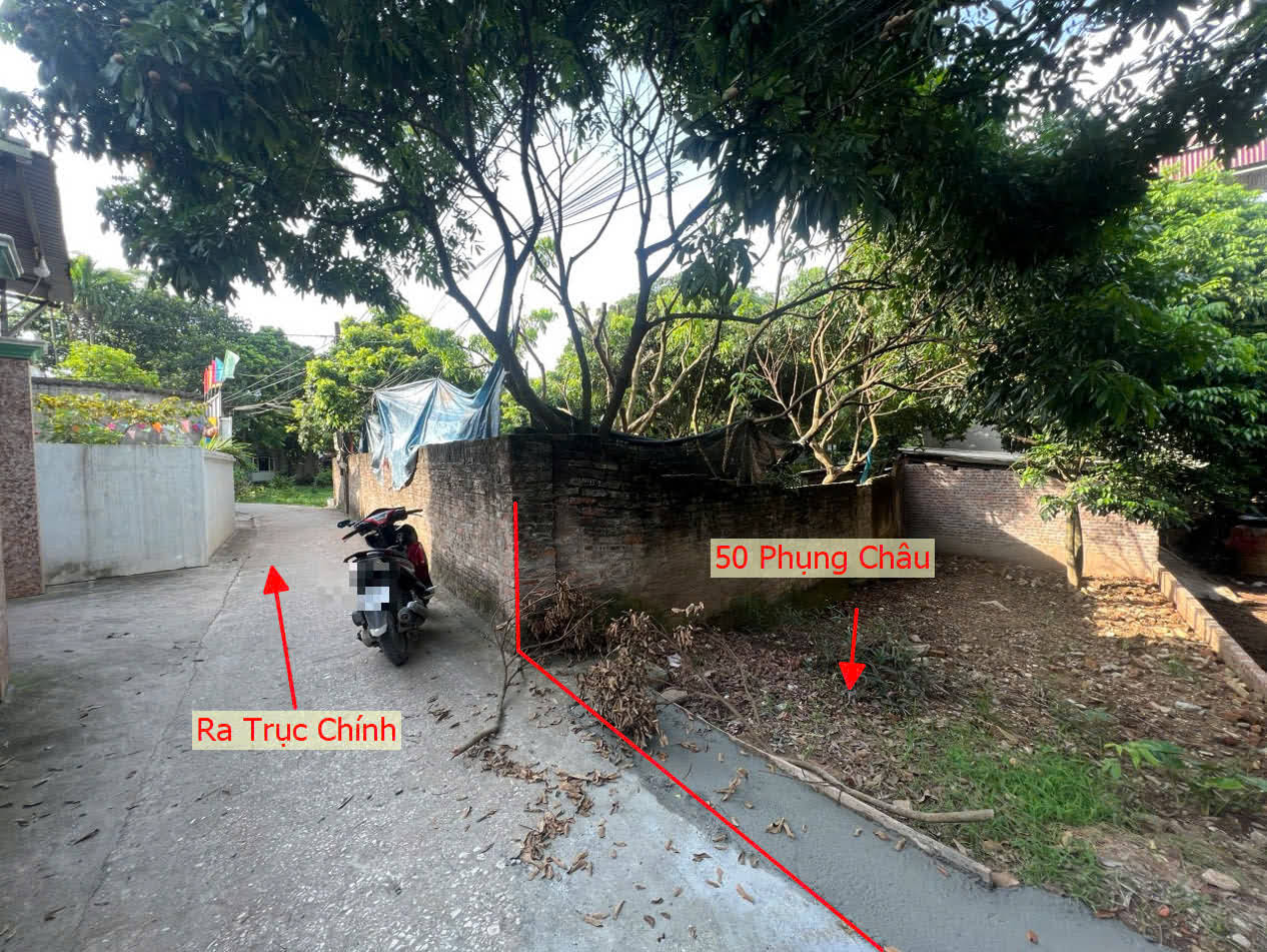 Hình ảnh Bán Mảnh Đất Phụng Châu Sát Mặt Đường Kinh Doanh Liên Huyện Ô Tô Vào Tận Đất 