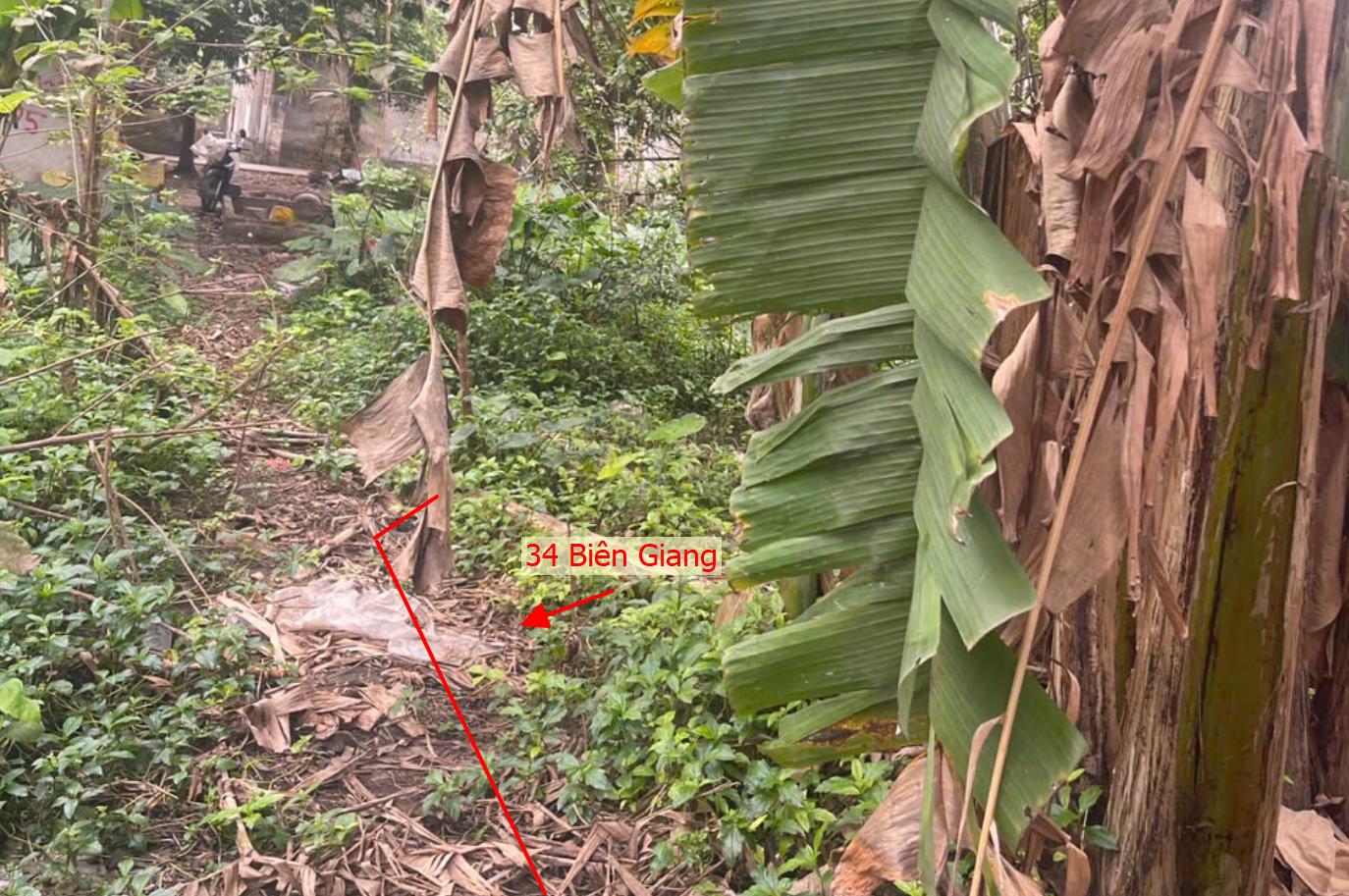 Hình ảnh Bất Động Sản Chương Mỹ Bán Đất Khu Vực Biên Giang Gần Trục Chính Kinh Doanh Cách QL6A Đang Mở Rộng Chỉ Vài Trăm Mét