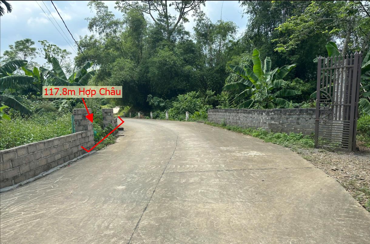 Hình ảnh Bán Lô Đất 117.8m Tại Hợp Châu Lương Sơn Bám Đường Bê Tông Ô Tô Vào Tận Đất Dân Cư Đông Đúc Thân Thiện Gần Chợ Trường Học Ủy Ban Dân Cư Đông Đúc Giá Đầu Tư