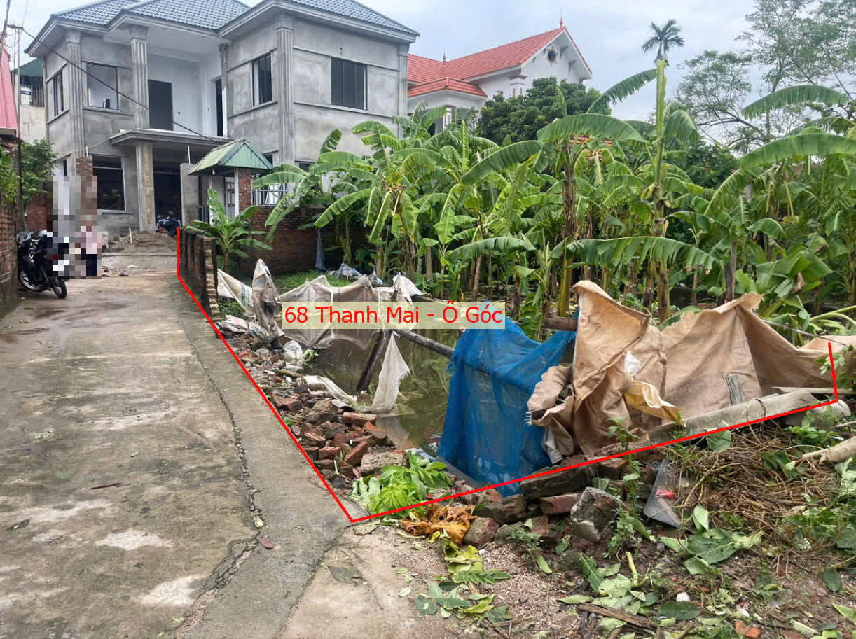 Hình ảnh Bán Lô Góc 2 Mặt Tiền Gần Trục Kinh Doanh Ngay Trung Tâm Xã Thanh Mai 