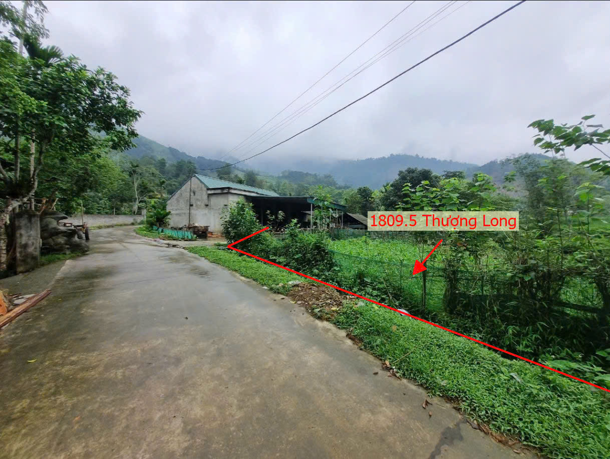 Hình ảnh Bán Đất Thượng Long Ô Tô Đỗ Tận Đất Gần Trục Chính Kinh Doanh Giá Chỉ Vài Trăm Triệu 