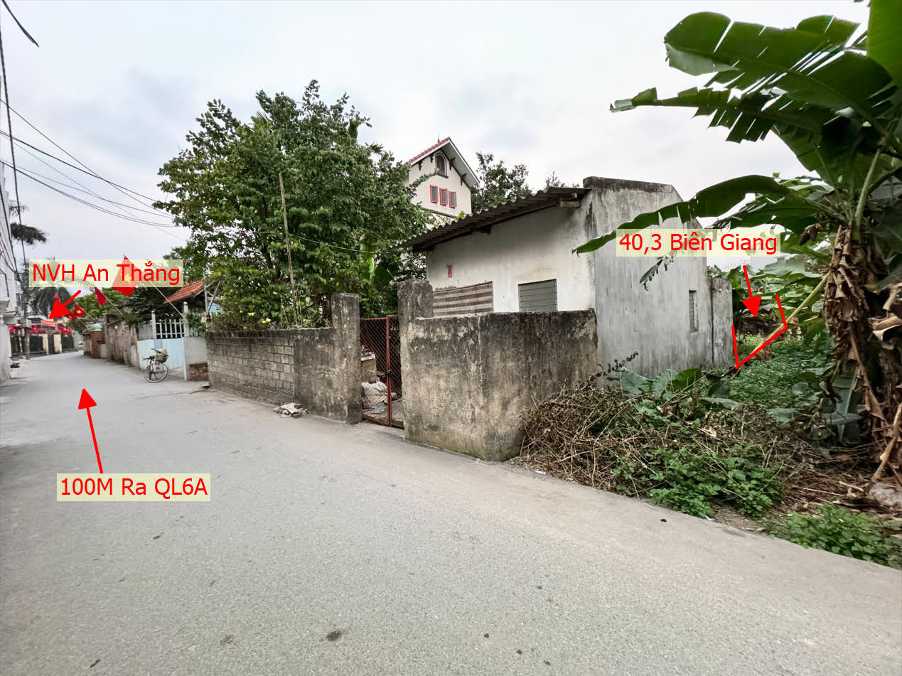 Hình ảnh Bán Đất Biên Giang Gần NVH An Thắng Sát Trục Chính Kinh Doanh Giá Nhỉnh Tỷ