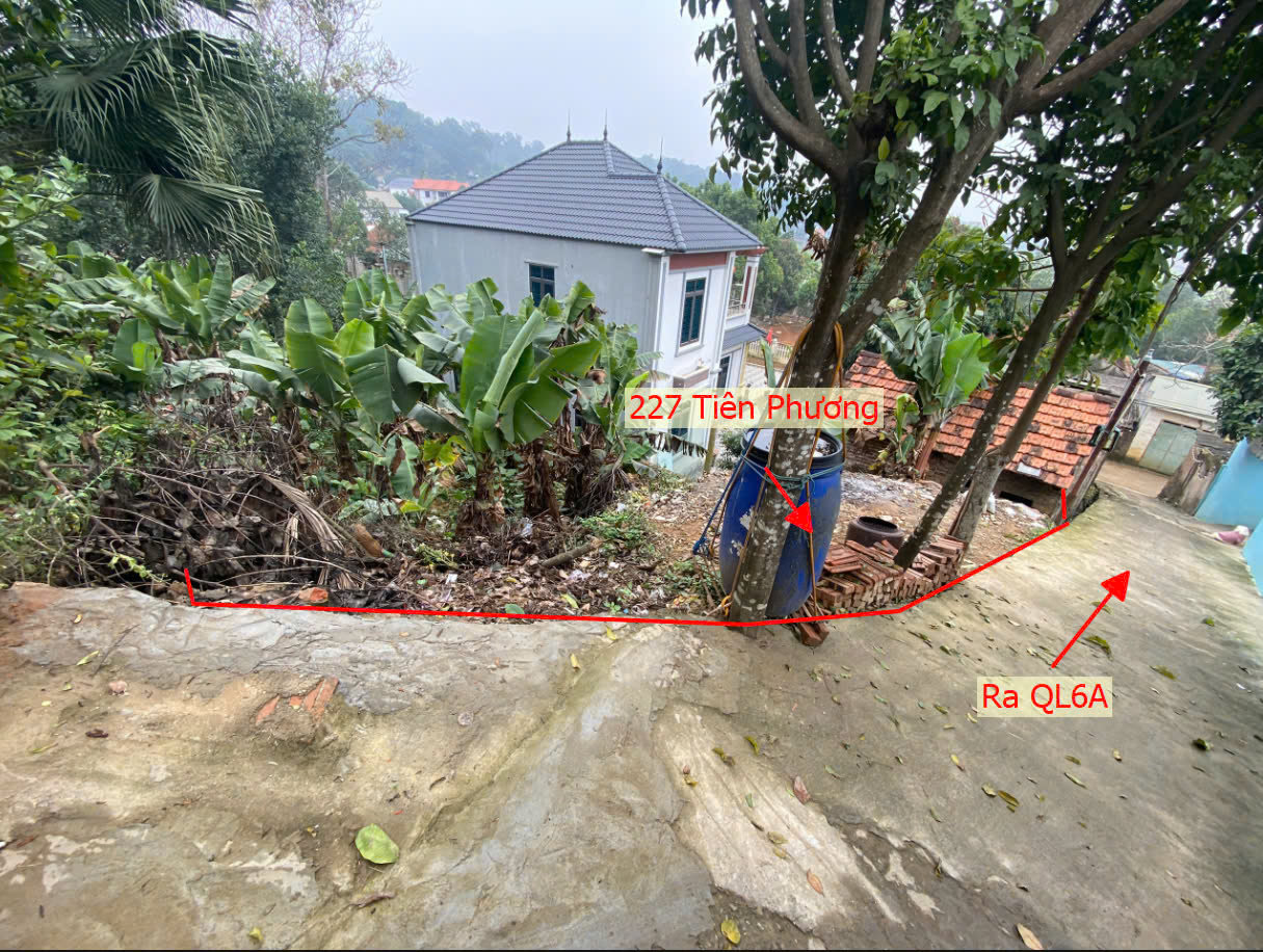 Hình ảnh Bán Đất Full Thổ Cư 227M2 Tại Tiên Phương Chương Mỹ Sát QL6A Đang Triển Khai Mở Rộng Gần KCN Phú Nghĩa