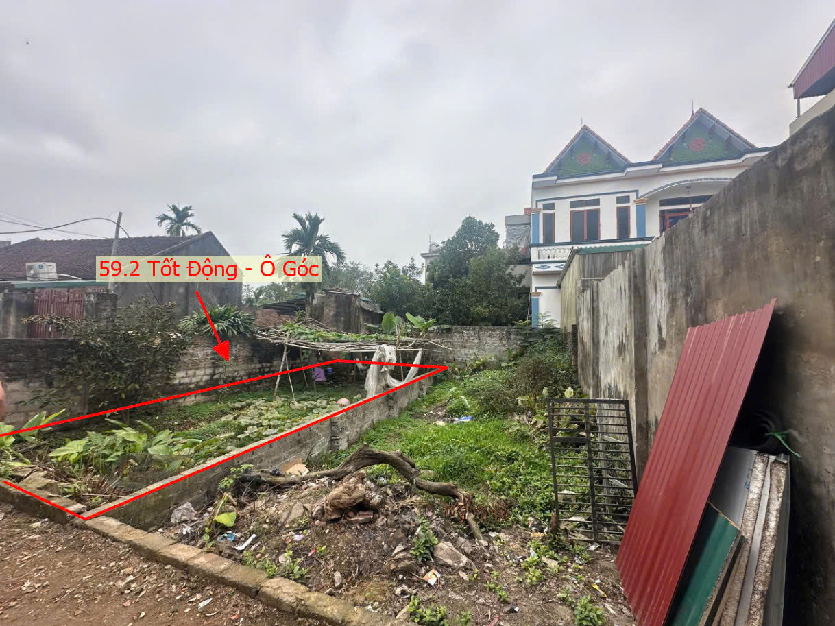 Hình ảnh Bán Lô Góc 2 Mặt Thoáng 59.2M2 Ngay Trung Tâm Xã Tốt Động Gần Đường Nguyễn Văn Trỗi Giá Chỉ Hơn Tỷ 