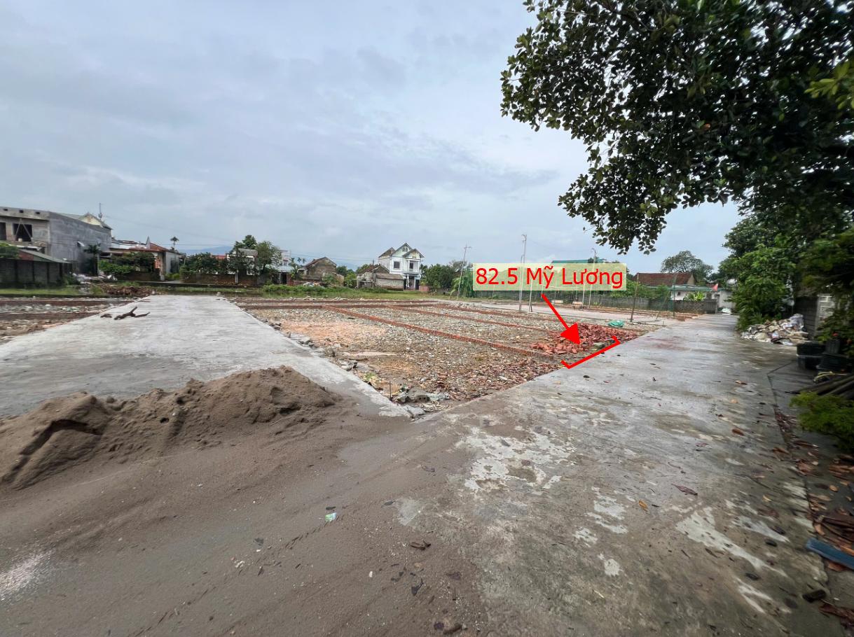 Hình ảnh Bán Đất Phân Lô Mỹ Lương Đường Thông Ô Tô Sát Mặt Đường Kinh Doanh Lương Văn Can Gần QL21A