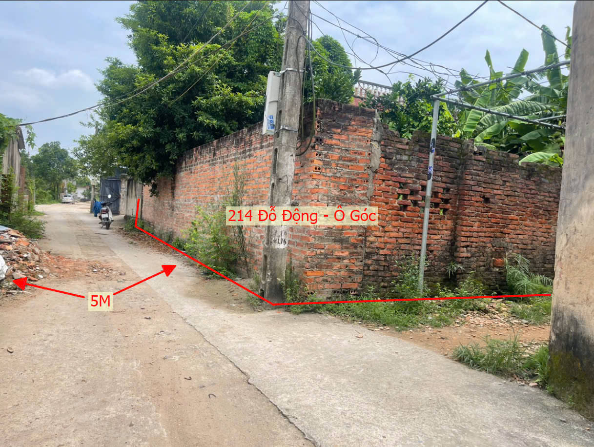 Hình ảnh Bán Lô Góc 2 Mặt Tiền Ô Tô Vào Tận Đất Sát Trục Chính Liên Xã Tại Đỗ Động 