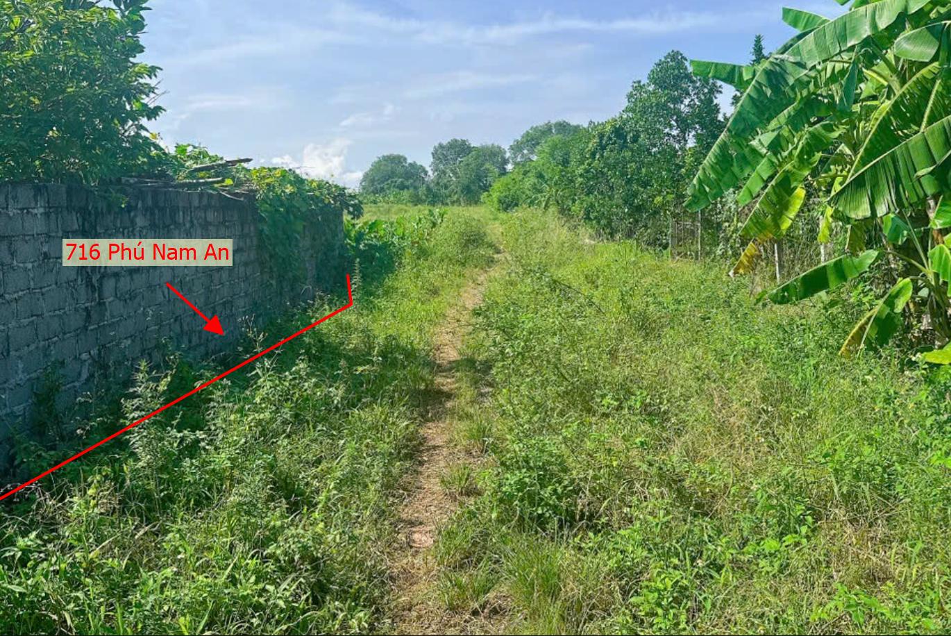 Hình ảnh Bán Thửa Đất 716m Tại Phú Nam An 2 Mặt Tiền Sát Trục Chính Kinh Doanh Liên Xã Giá Chỉ Hơn Tỷ
