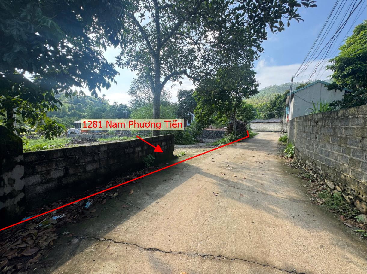 Hình ảnh Bán Thửa Đất 1281m Tại Nam Phương Tiến Ô Tô Đỗ Tận Đất Sát Trục Chính Kinh Doanh Liên Xã 