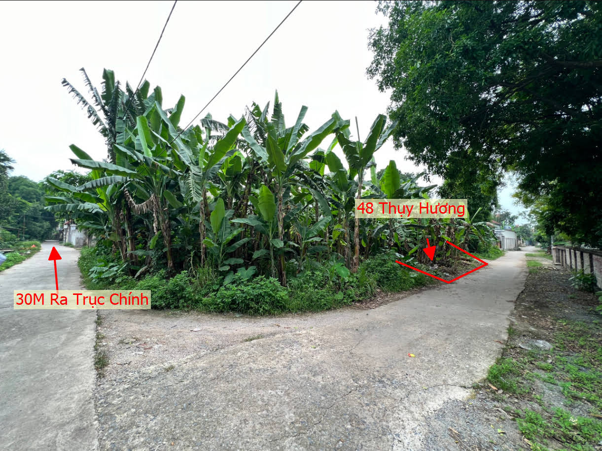 Hình ảnh Bán Đất Thụy Hương Ô Tô Vào Tận Đất Gần Trục Chính Giá Nhỉnh Tỷ