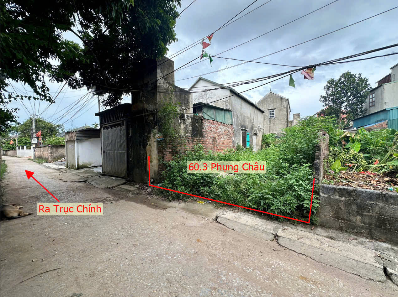 Hình ảnh Bán Đất Phụng Châu Ngay Gần Trục Chính Liên Huyện Chương Mỹ - Quốc Oai