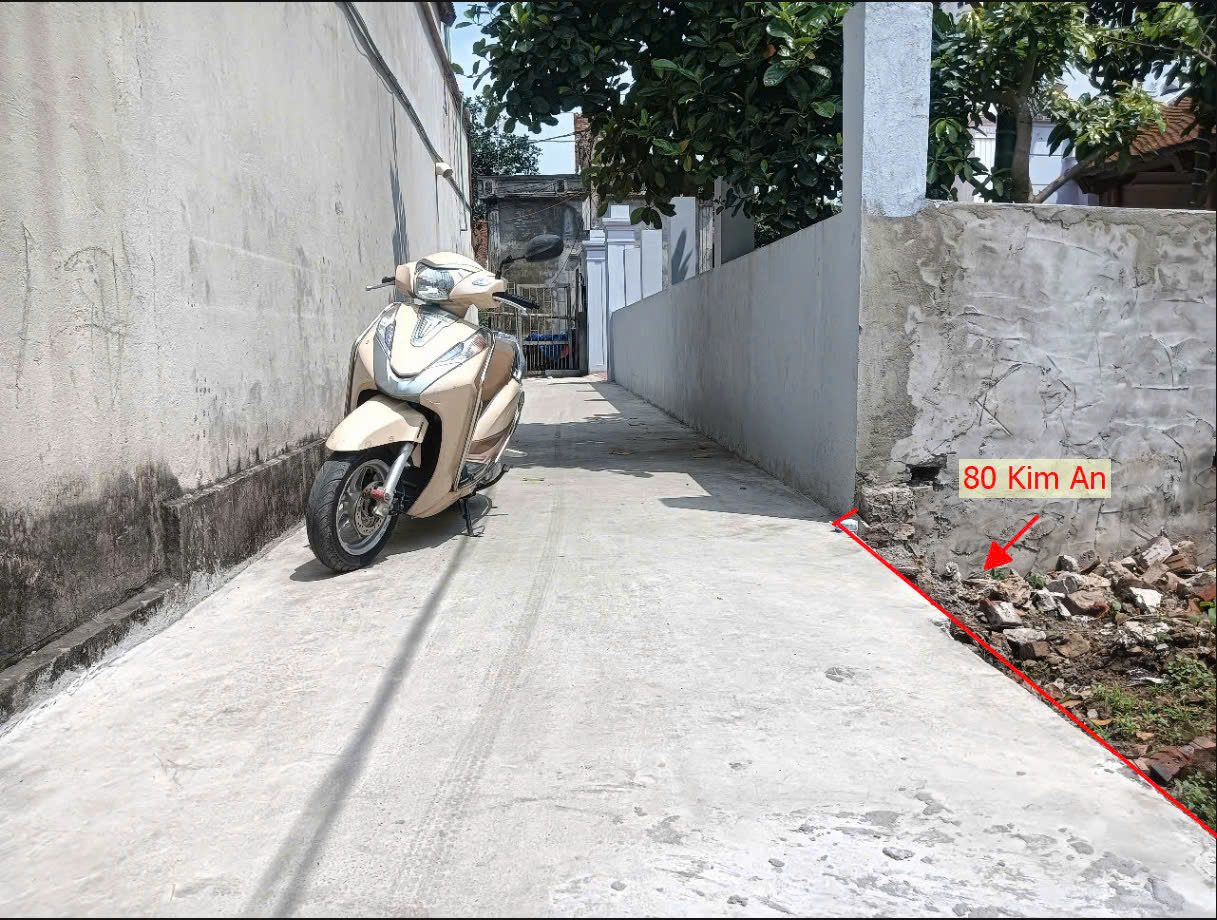 Hình ảnh Bán Thửa Đất 80m Tại Kim An Sát Trục Kinh Doanh Ngay Trung Tâm Hành Chính Xã 