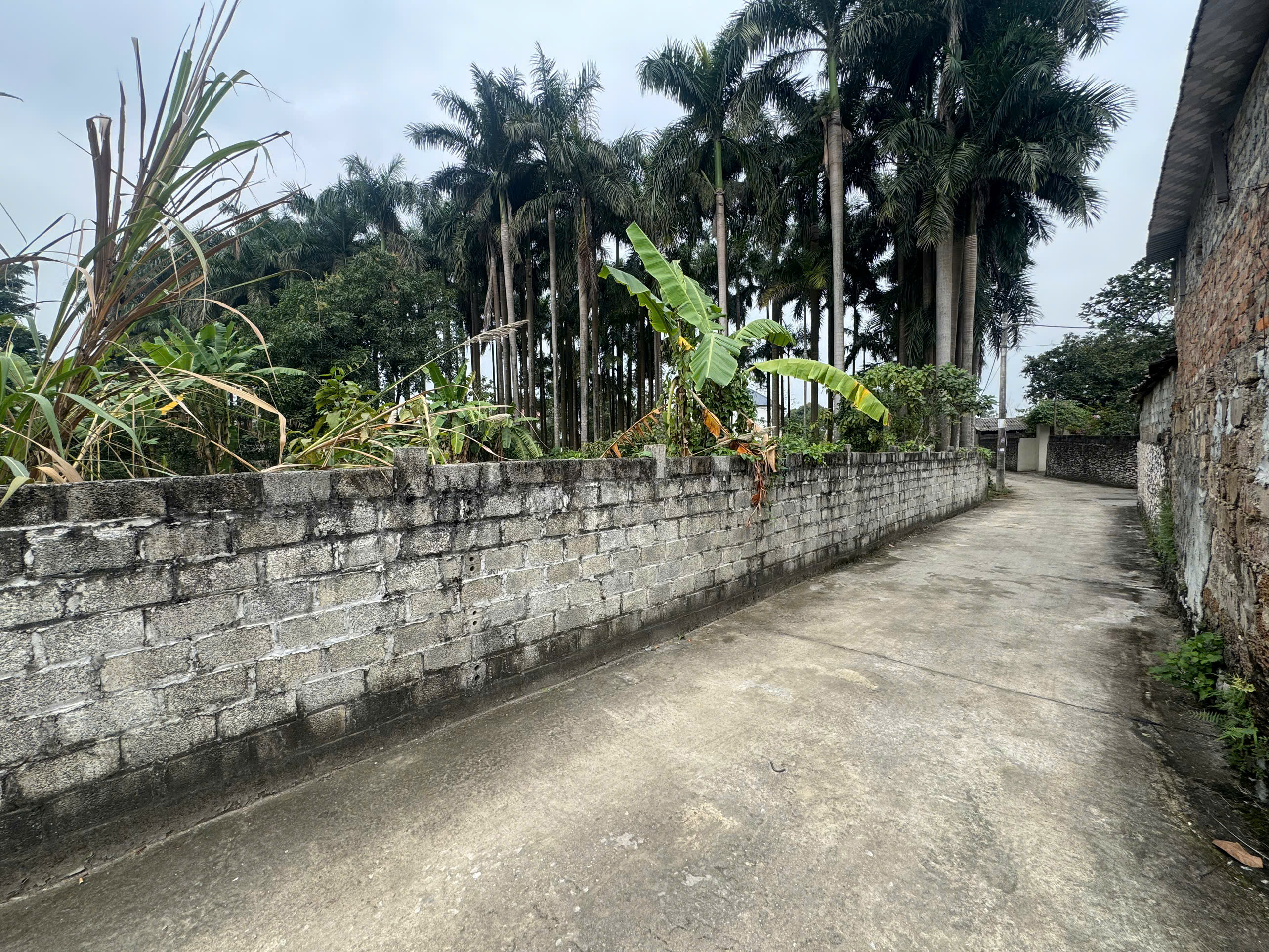 Hình ảnh Bất Động Sản Trần Phú Bán Đất Phân Lô Trần Phú Ô Tô Đỗ Tận Đất Sát Trục Chính Kinh Doanh Ngay Gần QL21A 