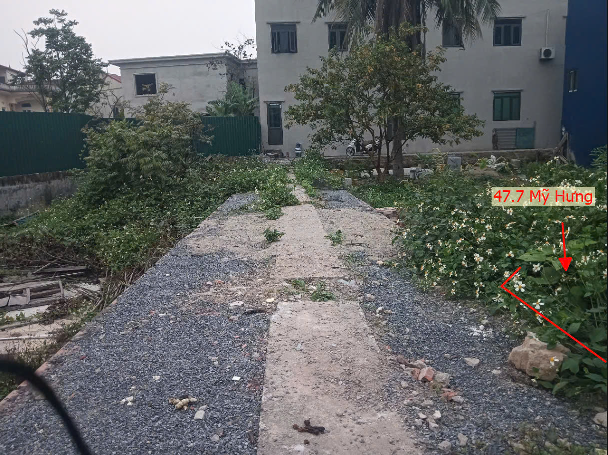 Hình ảnh Bán Đất Phân Lô 47.7m Tại Mỹ Hưng Thanh Oai  Sát Trục Kinh Doanh Gần Trục Đương Cenco5