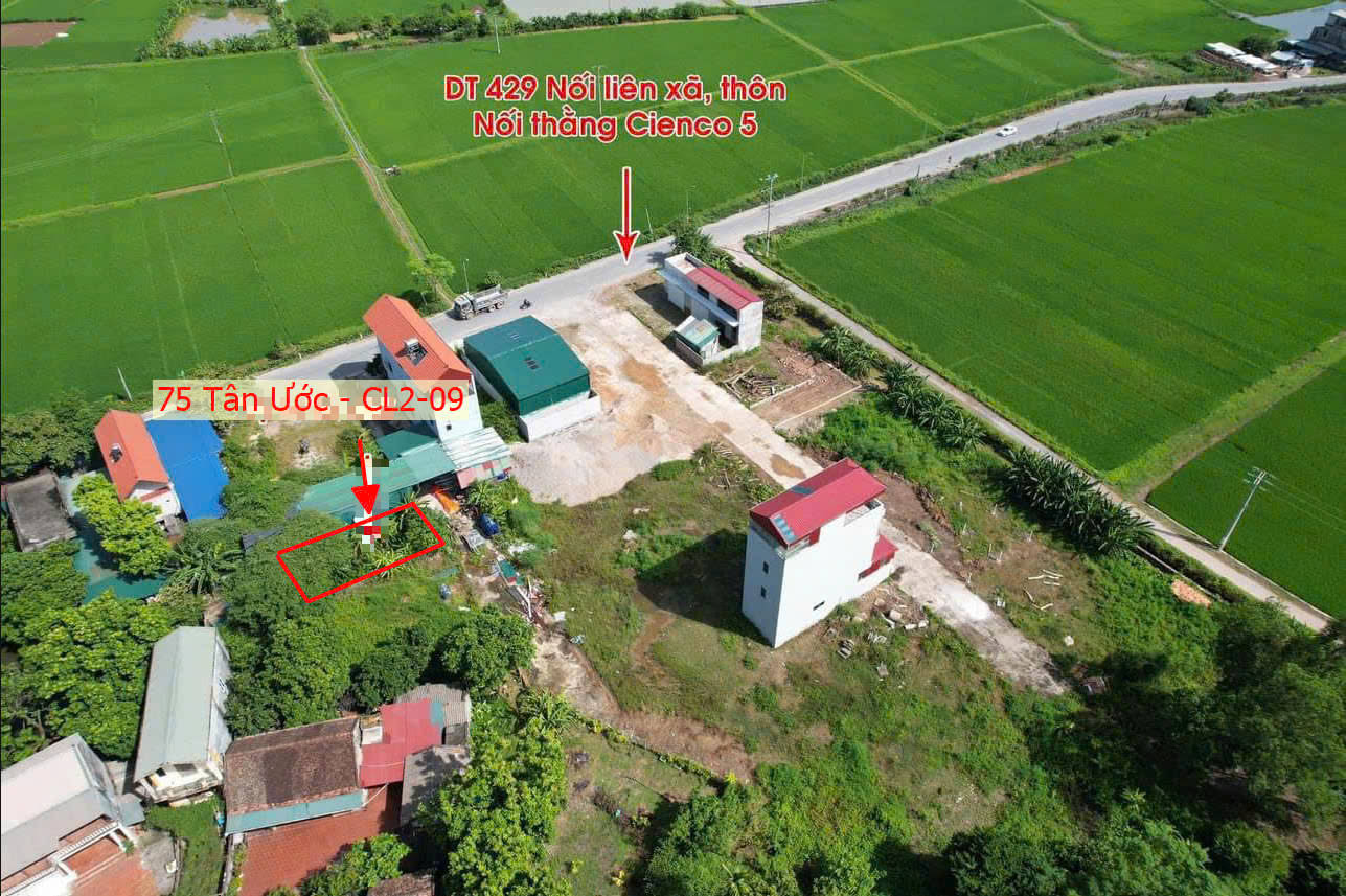 Hình ảnh Bán Đất Đấu Giá Khu Điếm Tổng Tân Ước Sát Mặt Trục Kinh Doanh Liên Xã (CL2-09)