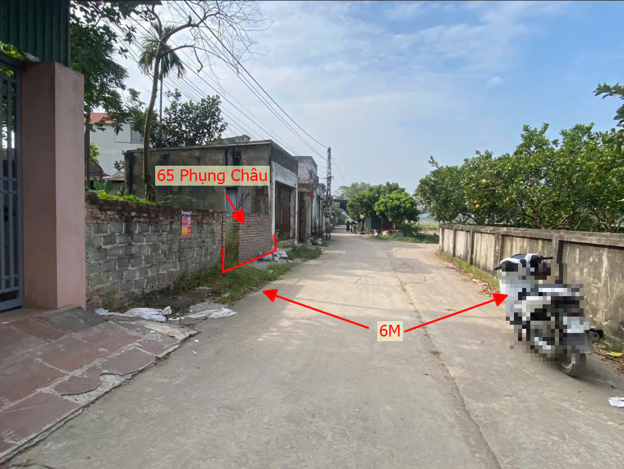 Hình ảnh Bán Đất Phụng Châu Full Thổ Cư Ô Tô Vào Tận Đất Gần Trục Chính Kinh Doanh Liên Huyện