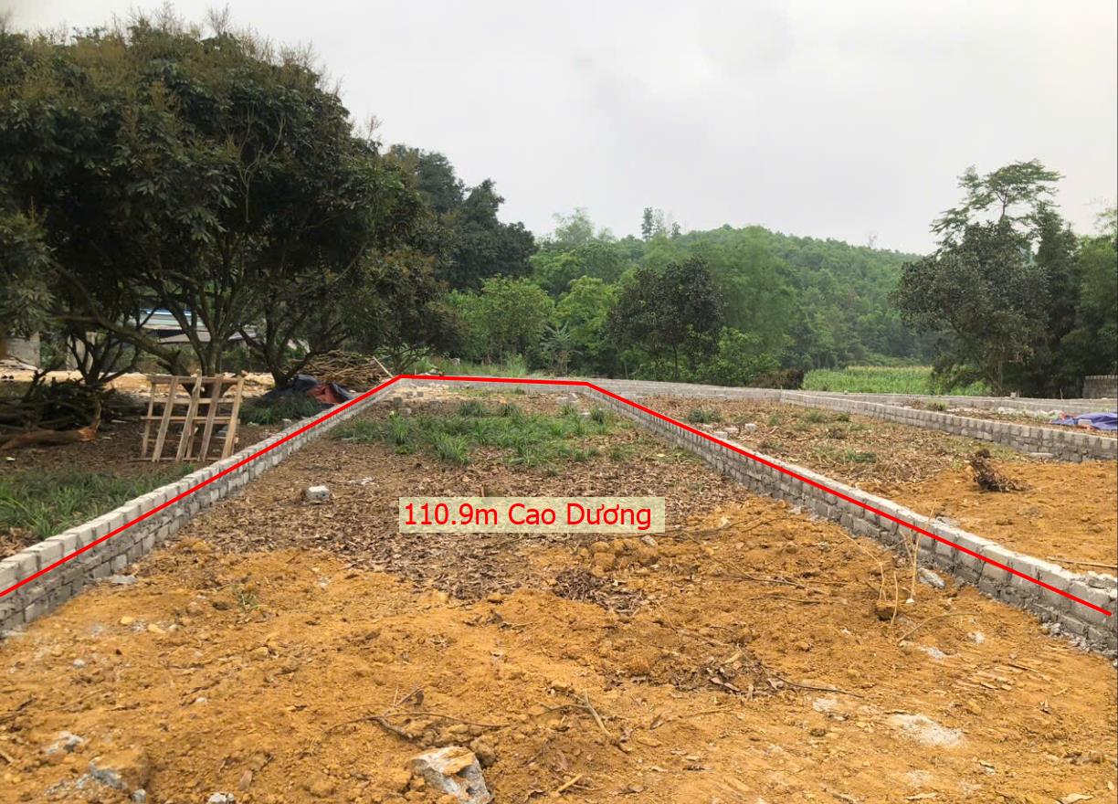 Hình ảnh Bán Lô Đất 109.9m Tại Cao Dương Lương Sơn Bám Đường Bê Tông Ô TÔ Vào Tận Đất Dân Cư Đông Đúc Thân Thiện Giá Đầu Tư