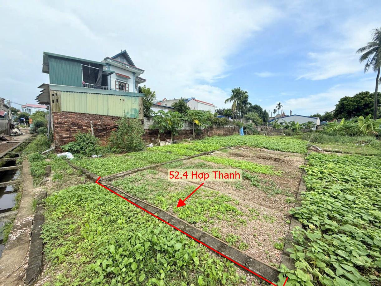 Hình ảnh Bán Thửa Đất 52.4m Tại Hợp Thanh Sát Trục Chính Kinh Doanh Liên Xã Giá Chỉ Vài Trăm Triệu