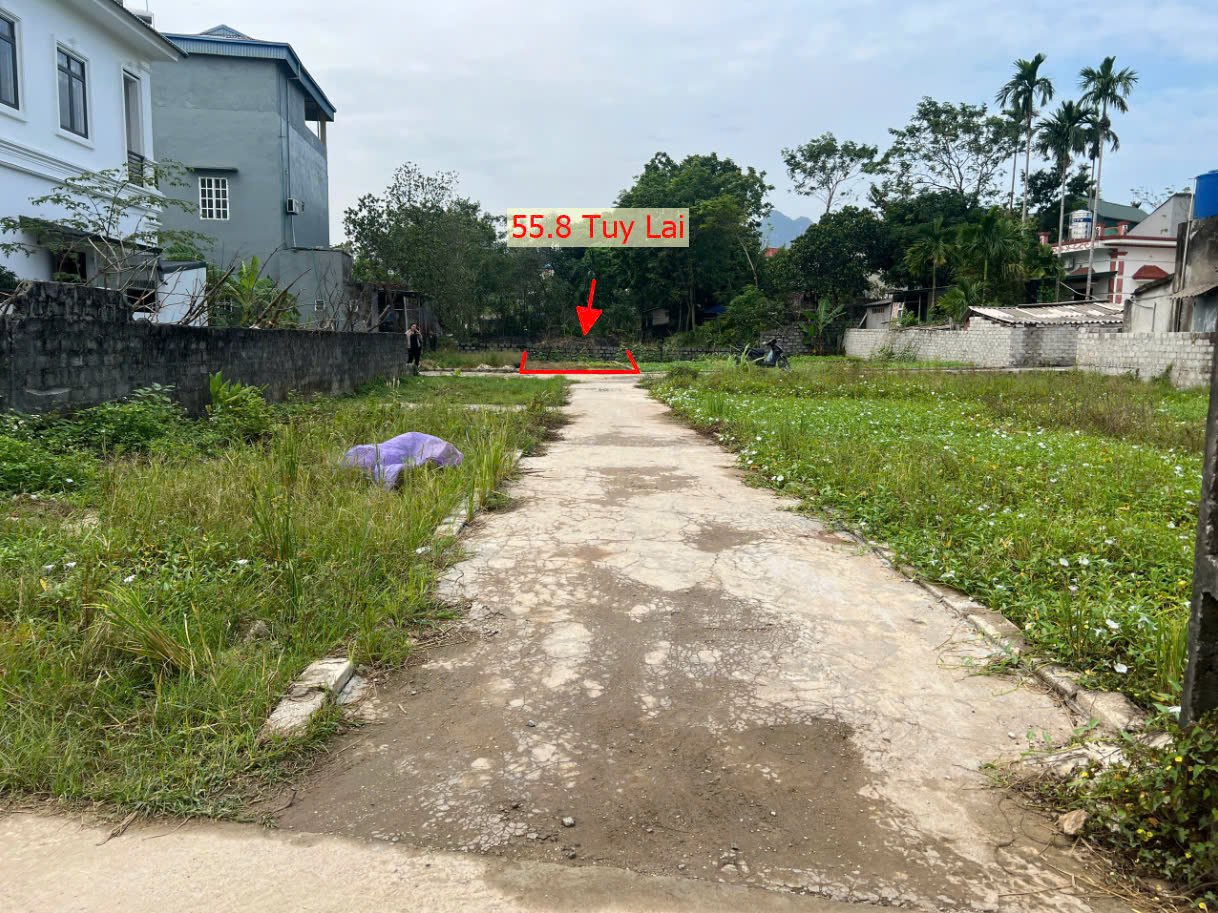 Hình ảnh Bán Đất Tuy Lai Sát Trục Chính Kinh Doanh Ngay Trung Tâm Xã Tuy Lai Giá Chỉ Vài Trăm Triệu 