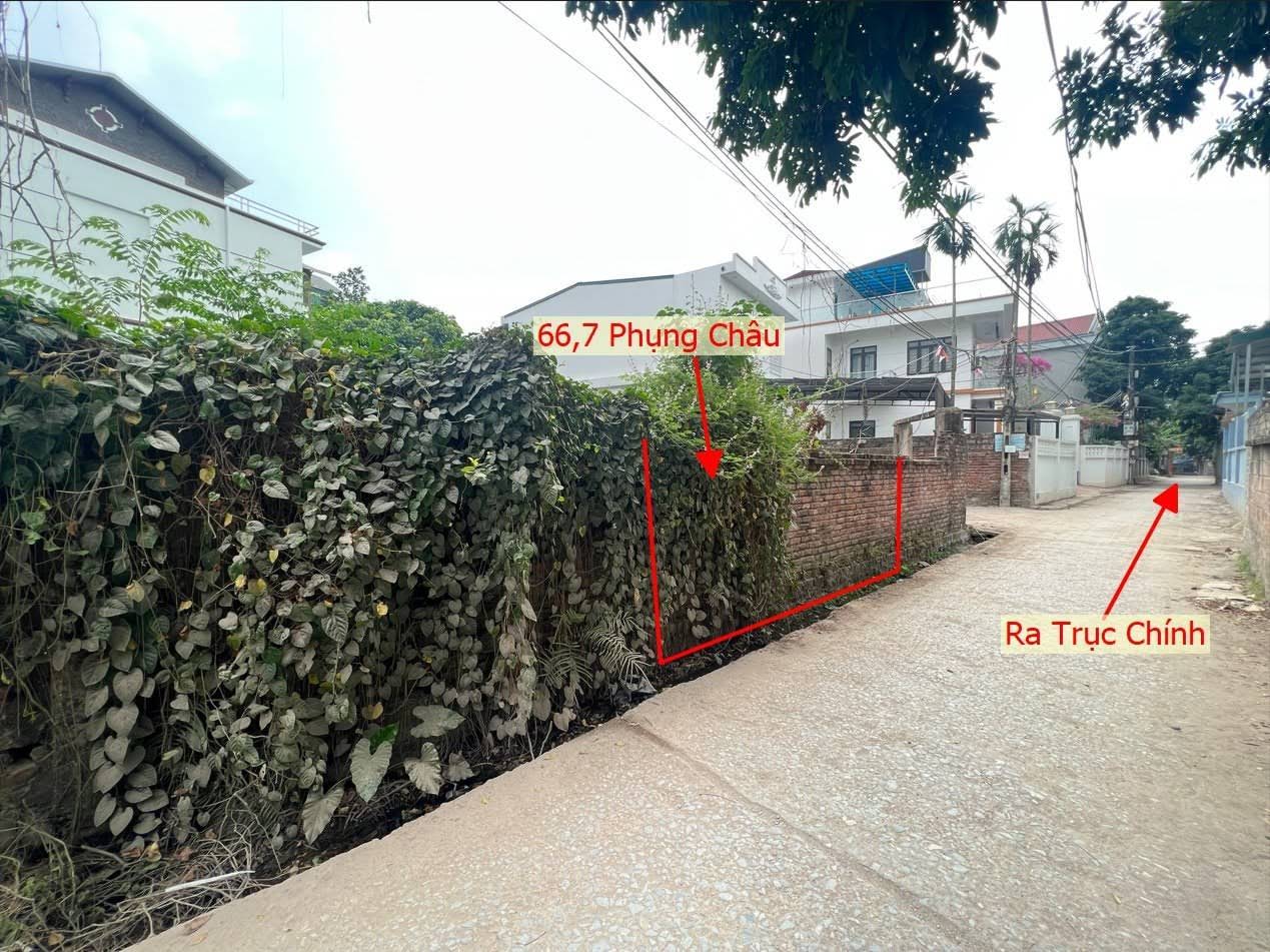 Hình ảnh Bán Đất Phụng Châu Gần Trục Chính Liên Huyện Ngay Trung Tâm Xã Phụng Châu