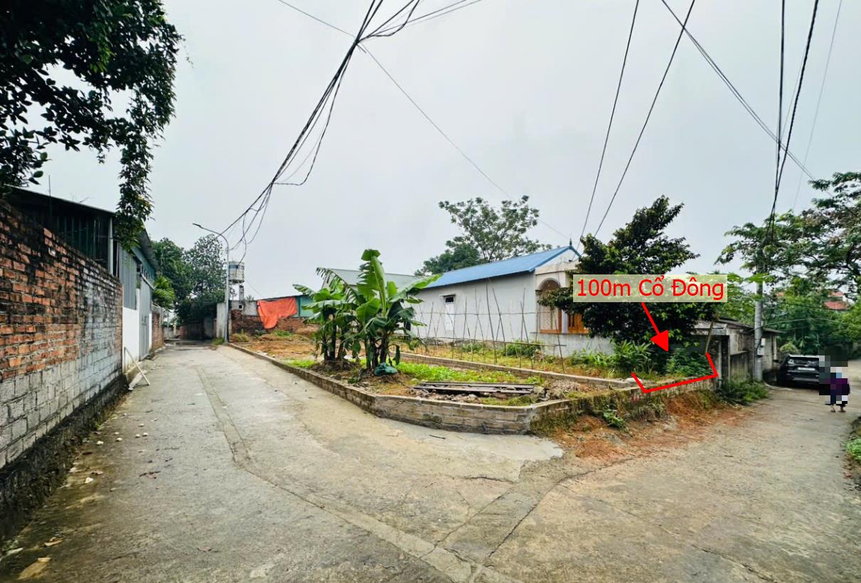 Hình ảnh Bán Lô Đất 100m Cổ Đông Sơn Tây Bám Đường Bê Tông Ô Tô Vào Tận Đất Dân Cư Đông Đúc Giàu Phát Triển Đầy Đủ Tiện Ích Giá Đầu Tư