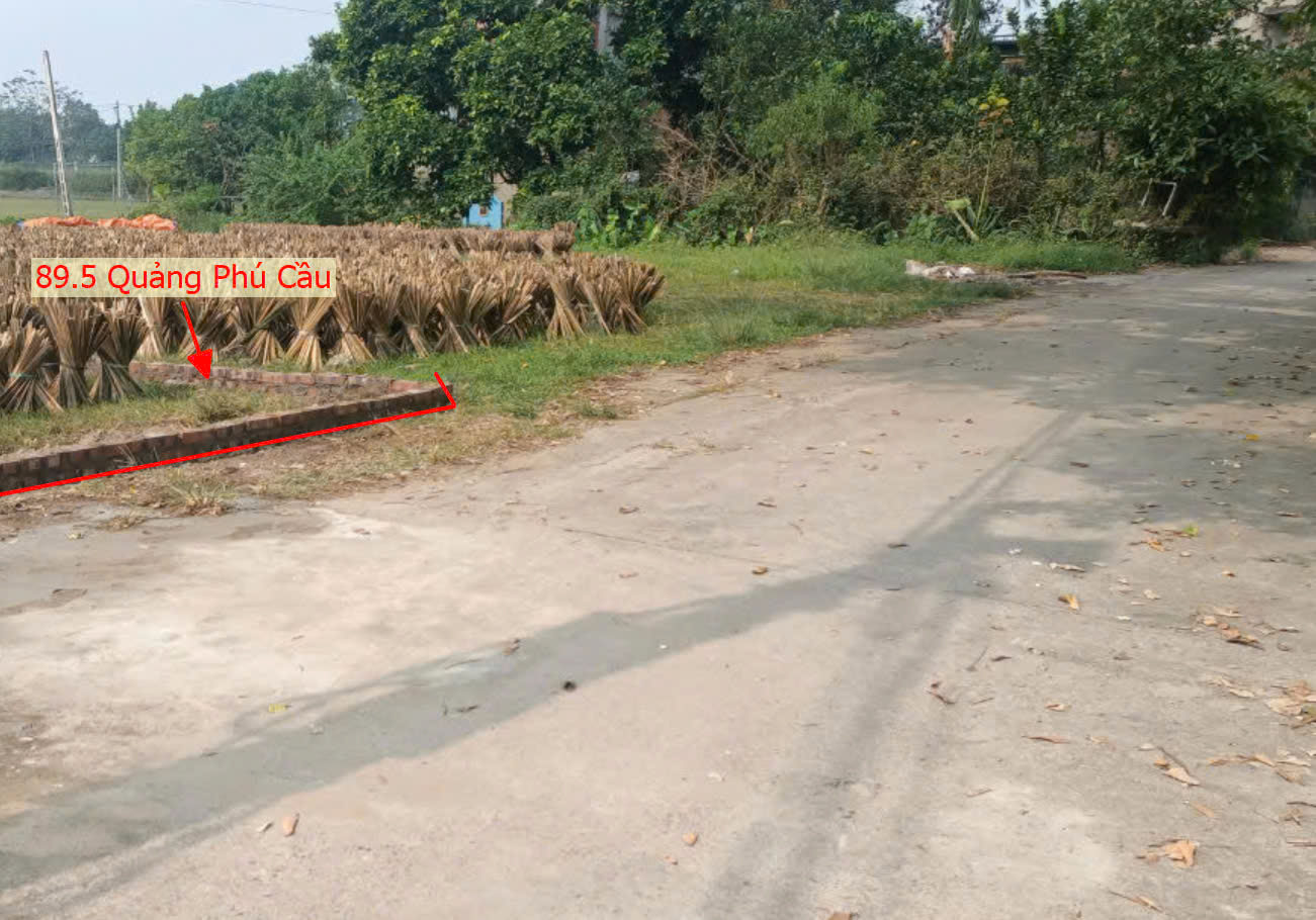 Hình ảnh Đất Đấu Giá Xã Quảng Phú Cầu Ứng Hòa Ngay Sát Mặt Đường Kinh Doanh TL429 