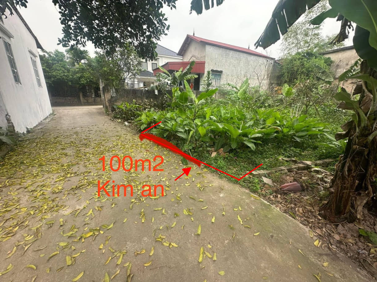 Hình ảnh Bán Đất Kim Thư Full Thổ Cư Sát Trục Kinh Doanh Giá Chỉ Hơn Tỷ 