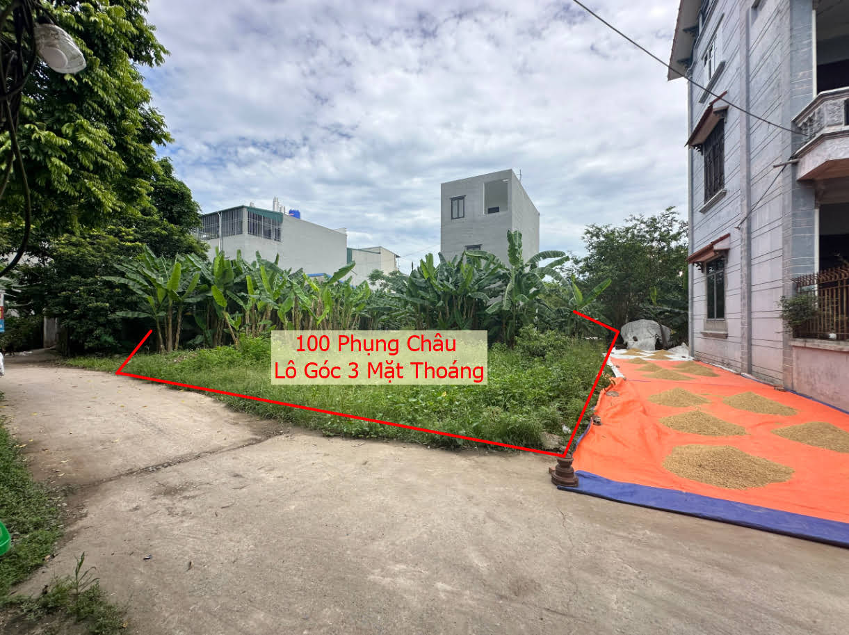 Hình ảnh Bán Lô Góc 3 Mặt Thoáng Gần Trục Kinh Doanh Liên Xã Tại Phụng Châu Giá Chỉ Hơn 50tr/m
