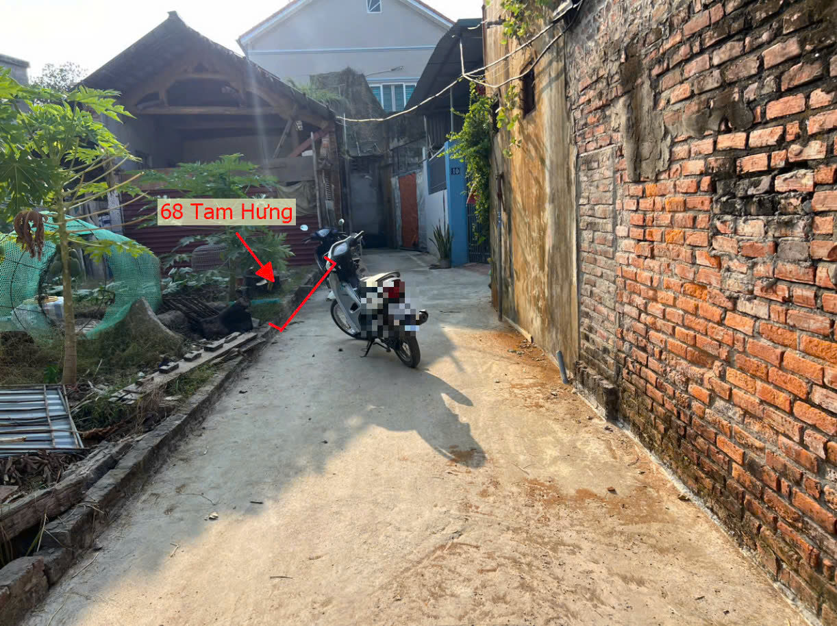 Hình ảnh Bán Đất Full Thổ Cư Sát Trục Chính Liên Xã Ngay Trung Tâm Hành Chính Xã Tam Hưng Thanh Oai