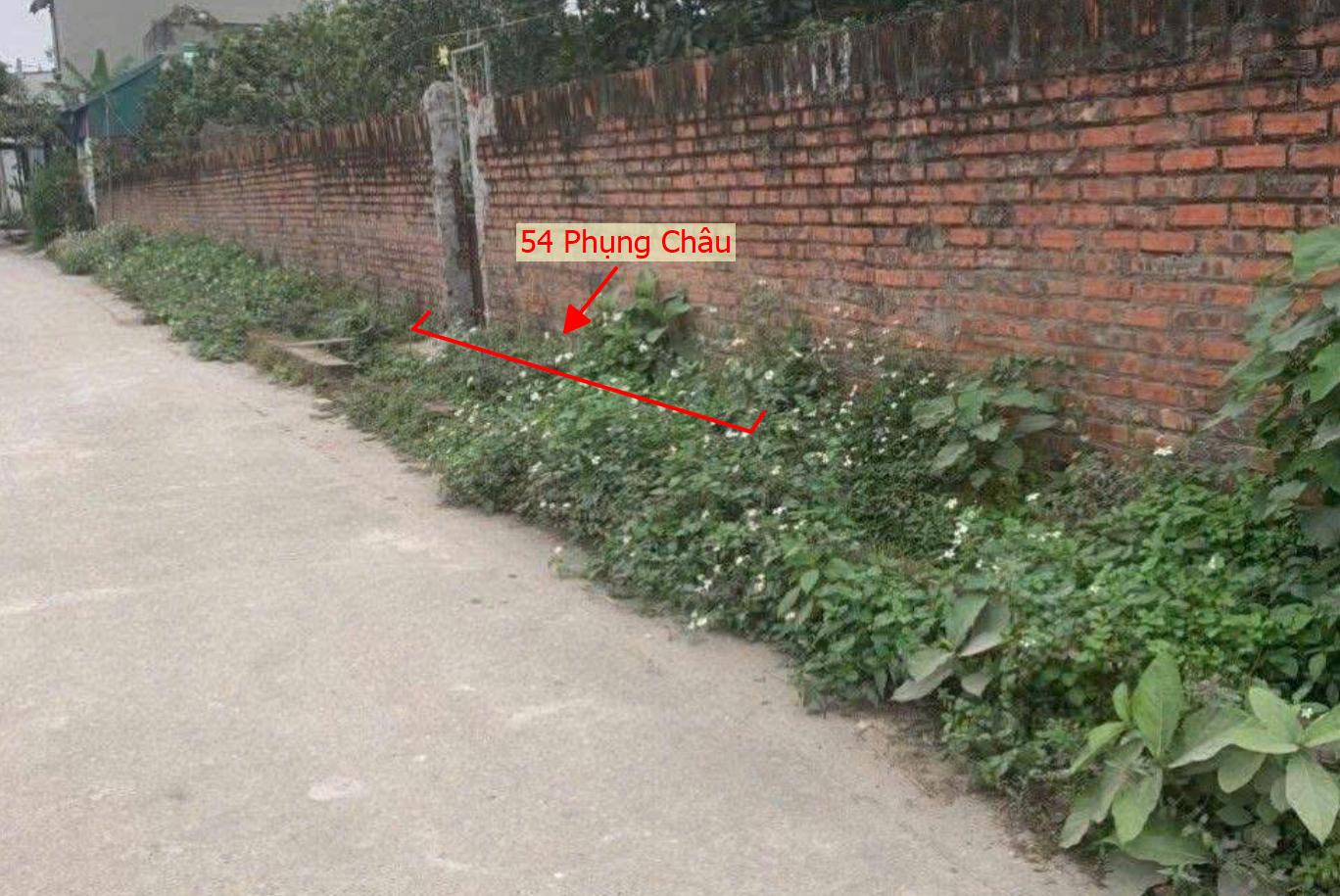 Hình ảnh Bán Đất Full Thổ Cư 54m Tại Phụng Châu Ô Tô Đỗ Tận Đất Gần Trục Chính Kinh Doanh Liên Xã 