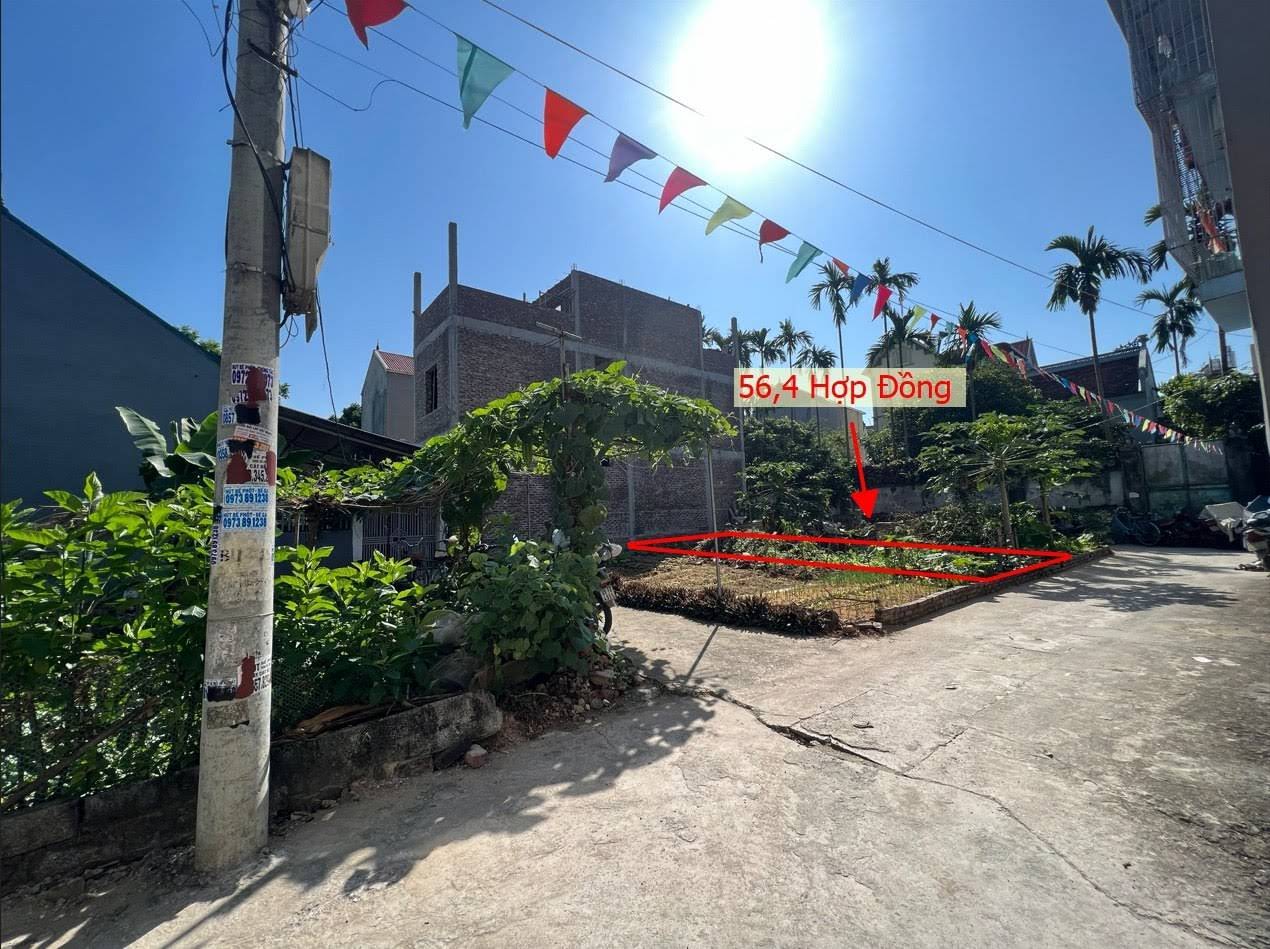 Hình ảnh Bán Đất Hợp Đồng Nằm Ngay Trung Tâm Thương Mại Xã Hợp Đồng Sát Đường TL419