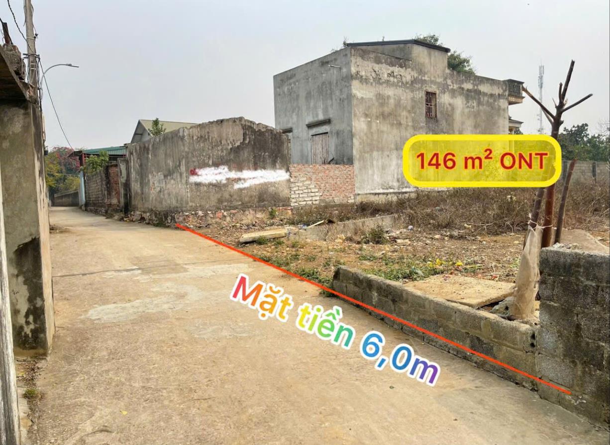 Hình ảnh Bán Lô Đất 146.3m Tại Đông Yên Quốc Oai Bám Đường Bê Tông Ô Tô Vào Tận Đất Dâ Cư Đông Đúc Gần Chợ Trường Học Ủy Ban Giá Rẻ Đầu Tư